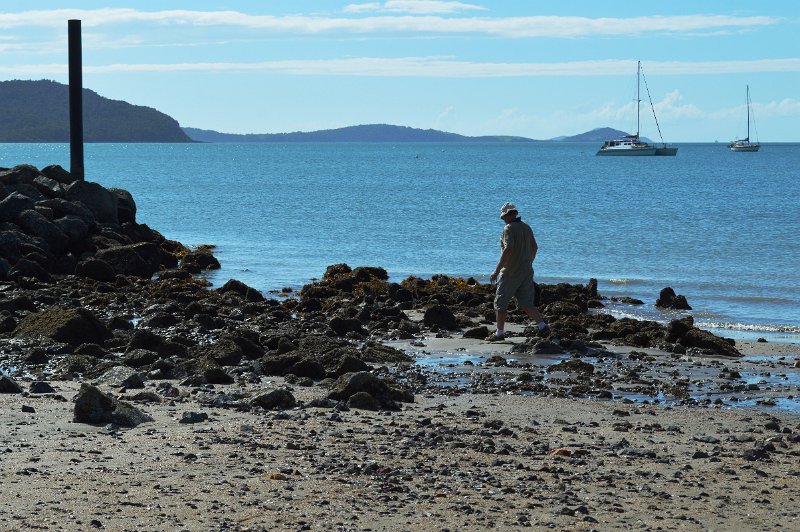 10Airlie (16).JPG - Shingley Beach